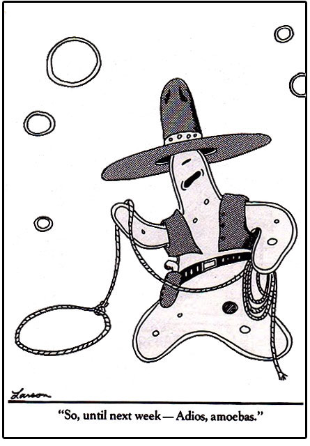 Adios Amoebas by Gary Larson Far Side