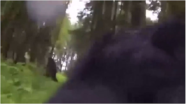 Alleged Bigfoot via GoPro attached to Dog