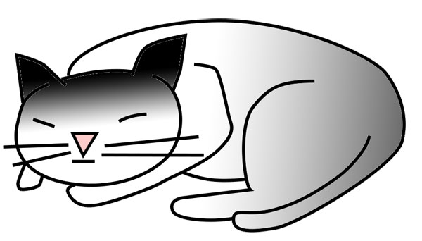 cat napping