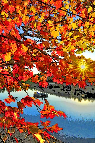Fall pond scene