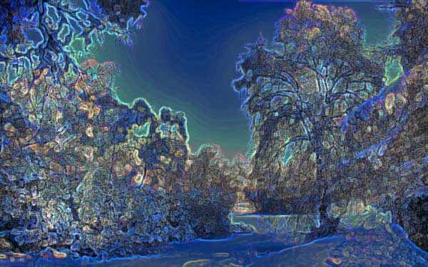 Winter Night