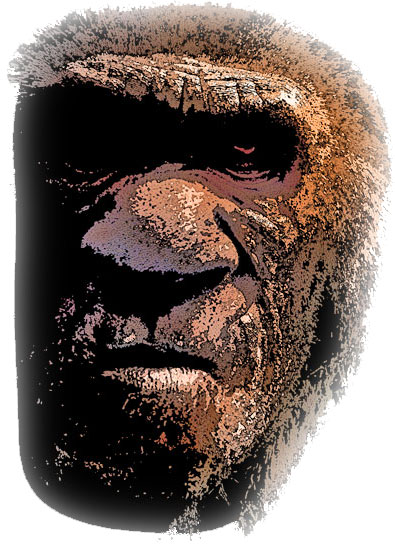bigfoot face study