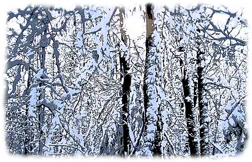 desolate winter