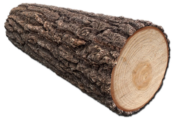 log log