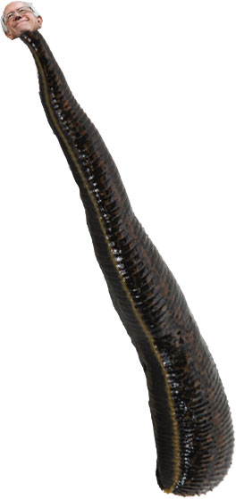 Bernie Leech