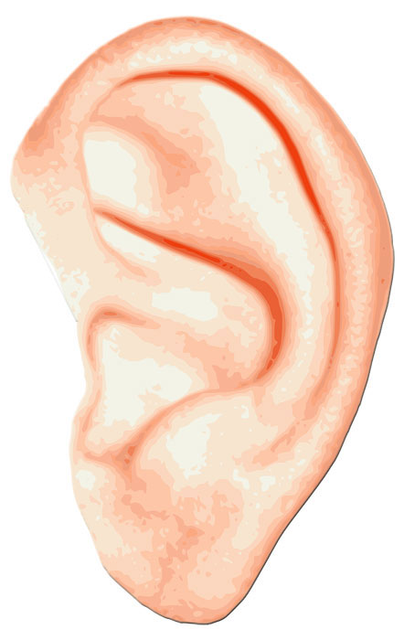 ear