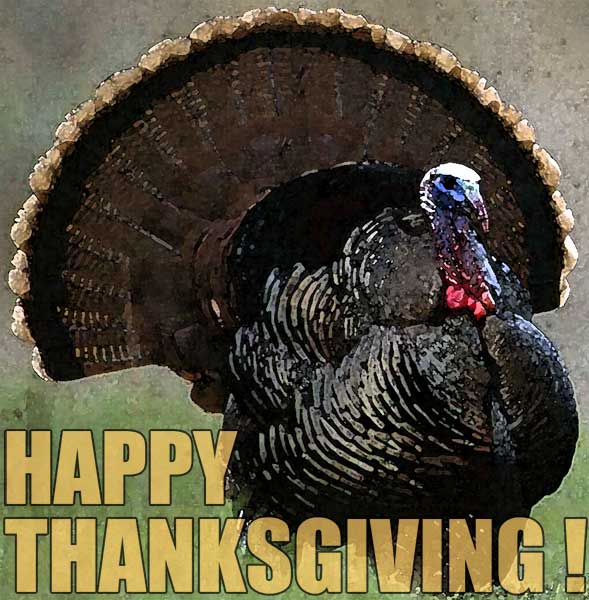 Happy Thanksgiving