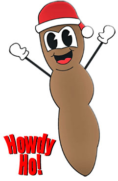 Mr Hankey the Christmas Poo