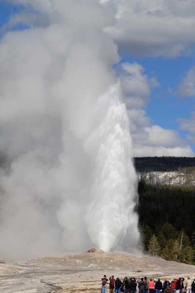 Old Faithful Erupting Yellowstone National Park