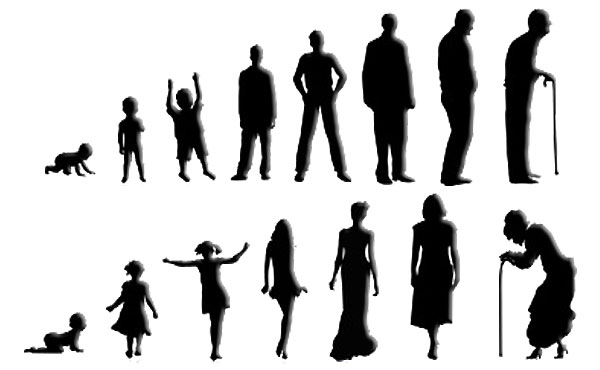 Phases of Life