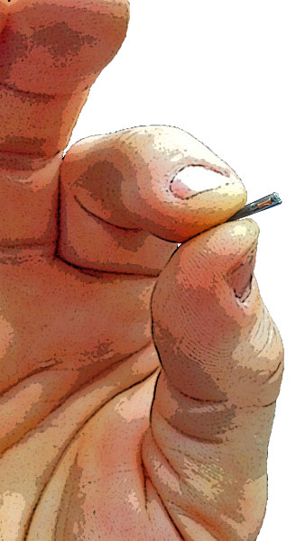 RFID Chip for Insertion into Employees
