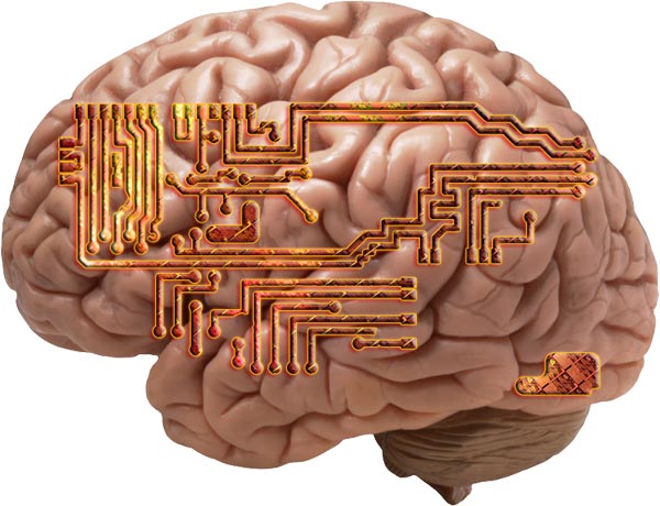 Vision of The Singularity