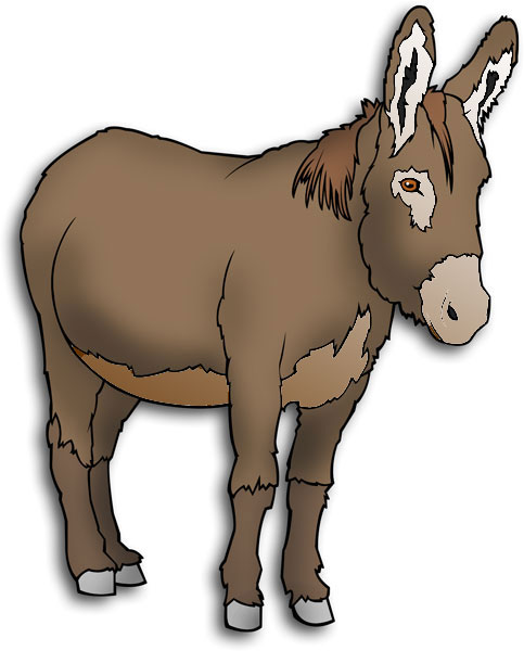 donkey