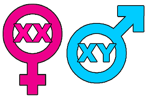 genotypic symbology