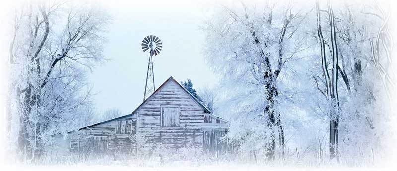 Winter