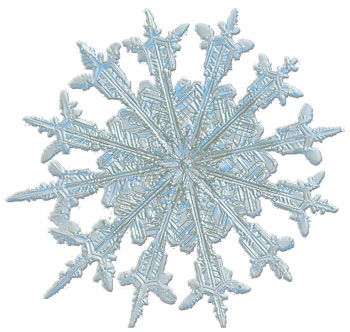 snow flake