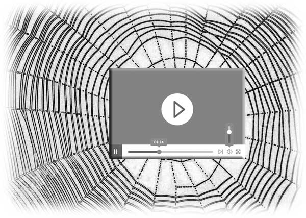 web video
