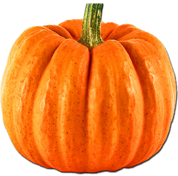 A Pumpkin