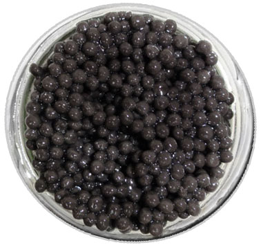 Beluga Caviar