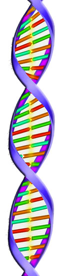 DNA
