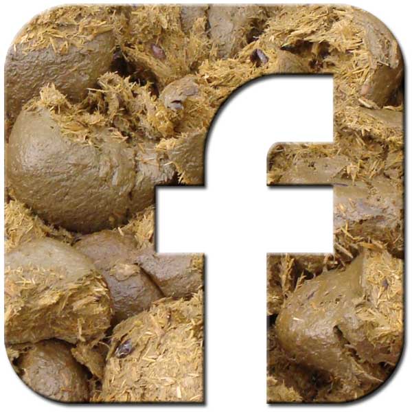 Facebook Algorithm