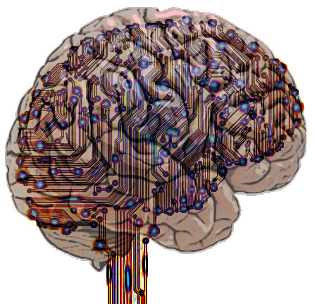 Singularity Brain