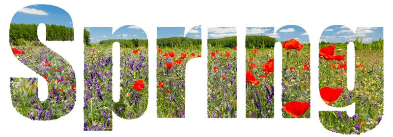 Spring 2018
