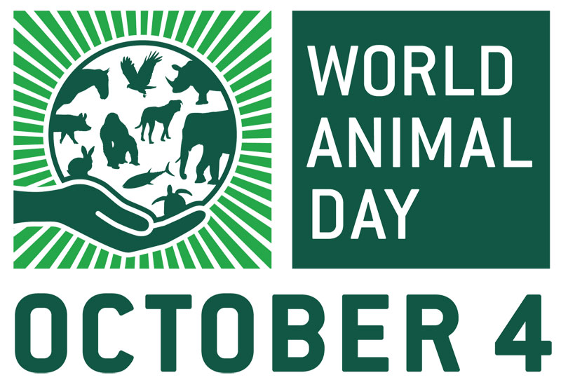 World Animal Day October 4