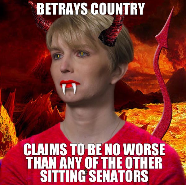 chelsea for senate