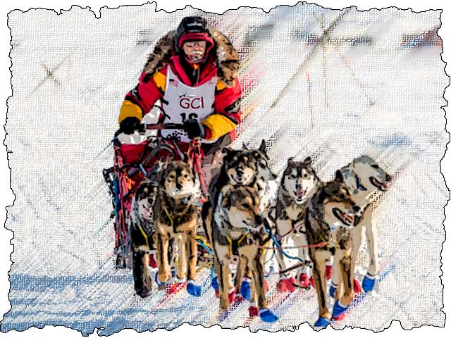 iditarod contestant
