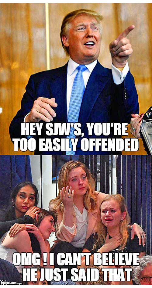 sjw meme