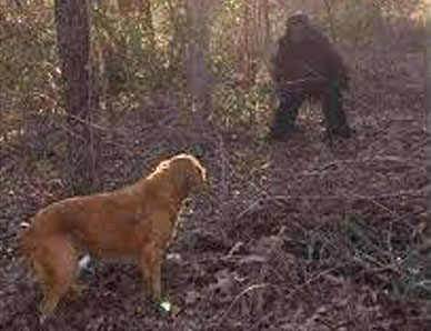 Alleged juvie sasquatch confronted at Lake Marion in SC