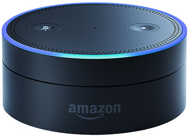 Amazon Alexa Echo