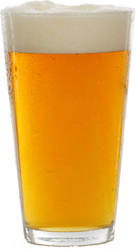 Glass of Beer