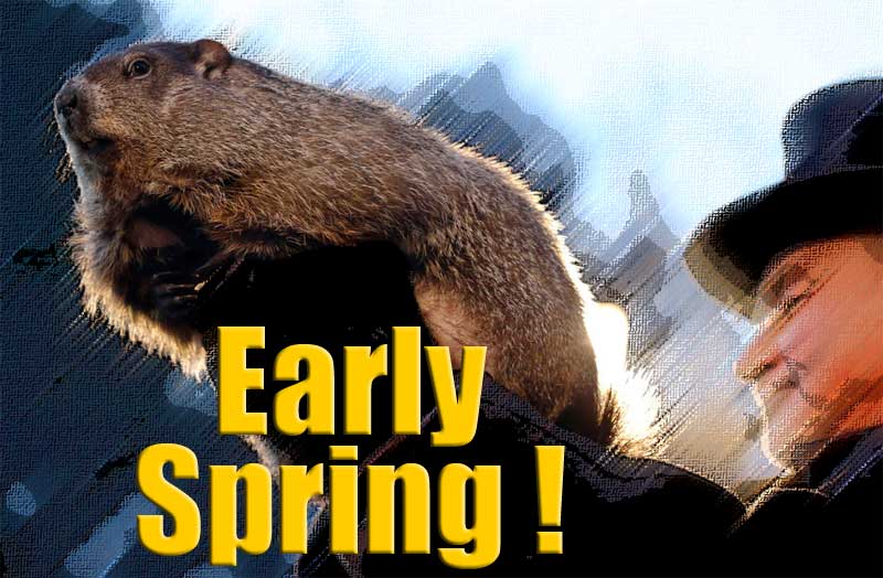 Early Spring !