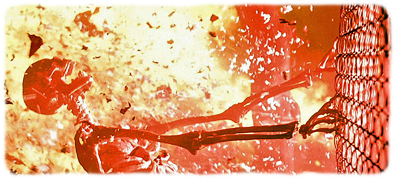 scorch the earth