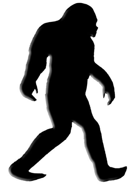 Sasquatch