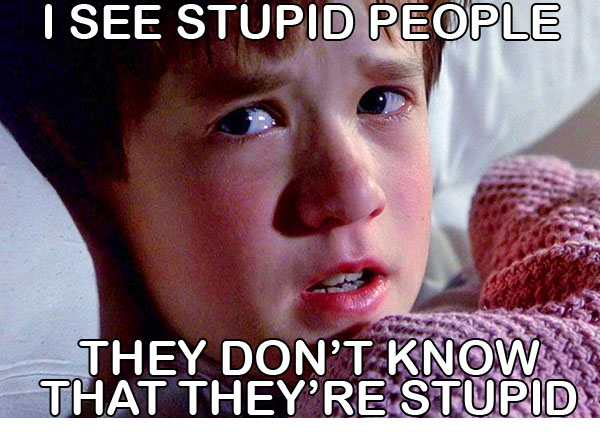 Sixth Sense Meme I see stupid people