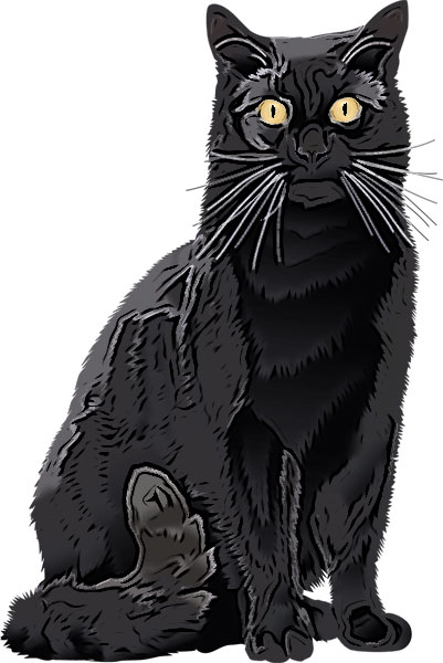 dark kitty