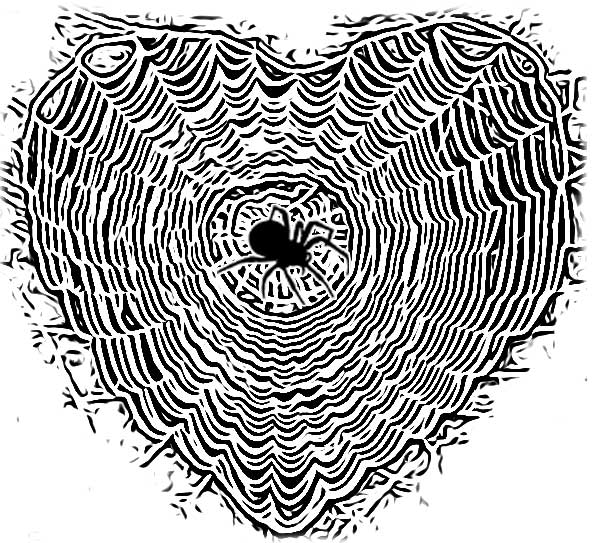 heart web