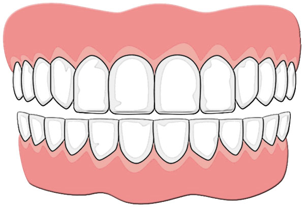 teeth
