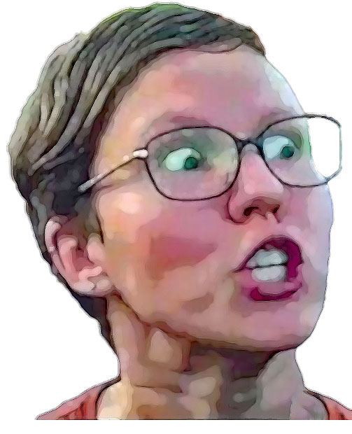 Another stupid SJW