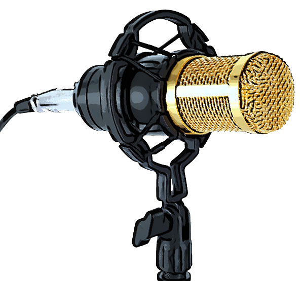 BM-800 Studio Condenser Mic