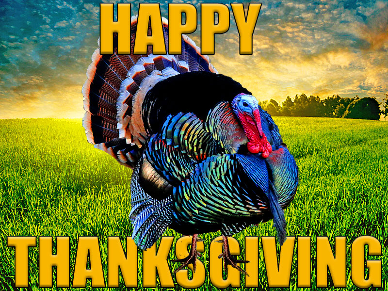 Happy Thanksgiving