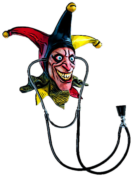 buffoons in medicine