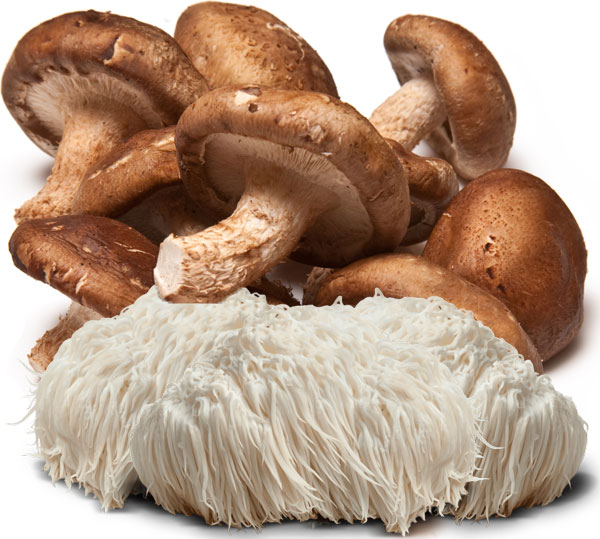 Lions Mane and Shitake Mushrooms