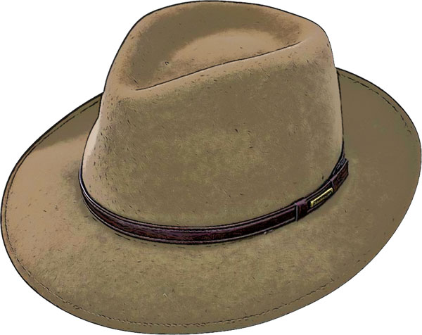 brown felt hat