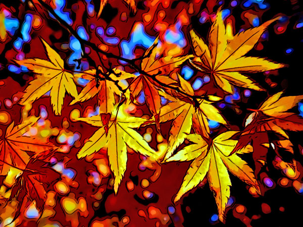 Autumn Leaves