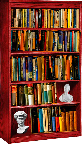 book shelf