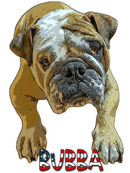Bubba the Bulldog